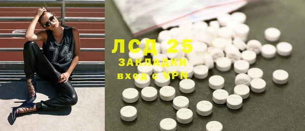 спайс Няндома