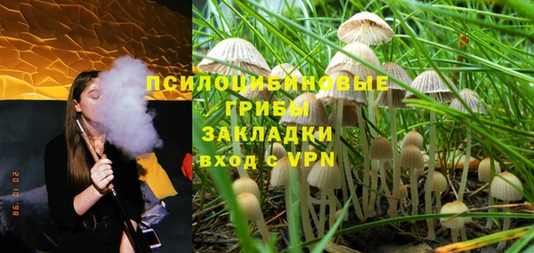 ALPHA PVP Нязепетровск