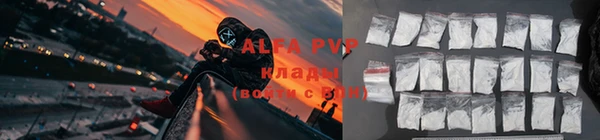 ПСИЛОЦИБИНОВЫЕ ГРИБЫ Новодвинск