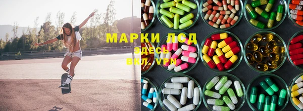 спайс Няндома
