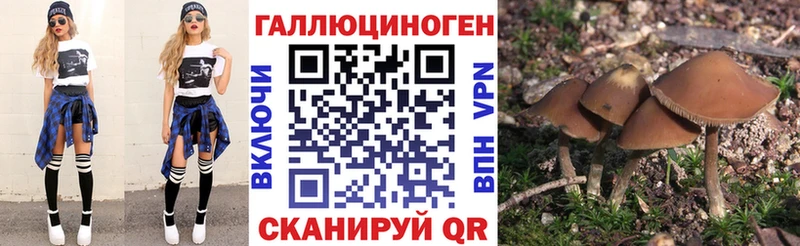 Псилоцибиновые грибы мицелий Петрозаводск