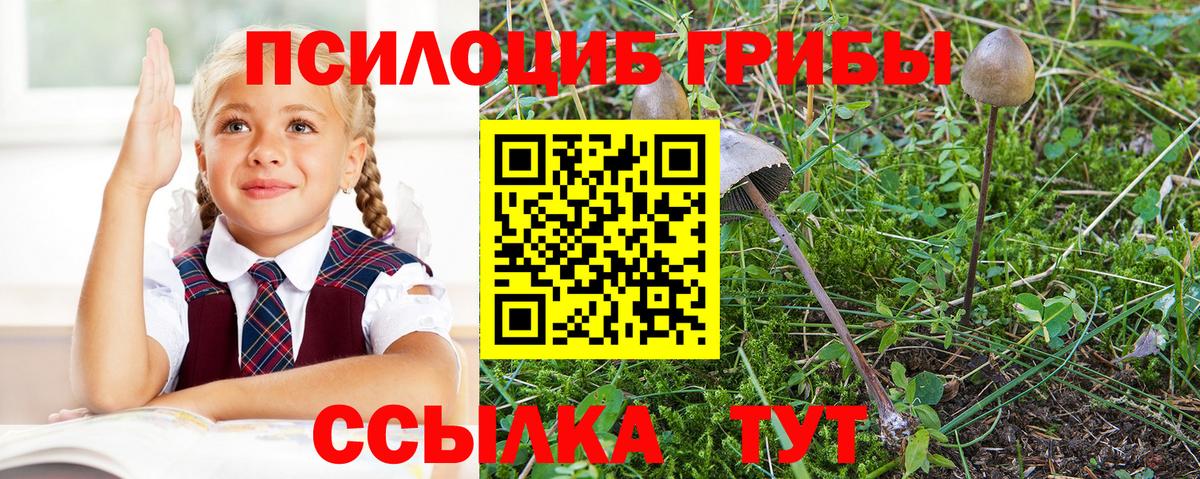 Галлюциногенные грибы мицелий Петрозаводск